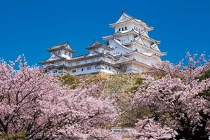 日本製 made in japan ジグソーパズル 千の桜と姫路城（兵庫） 10-1411