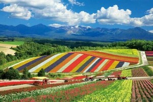 日本製 made in japan ジグソーパズル 四季彩の丘と十勝岳連峰（北海道） 10-1422