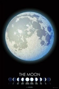 日本製 made in japan ジグソーパズル THE MOON ‐月の世界‐ 10-1442