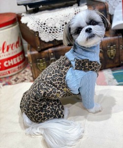 レオパード柄サロペPT（犬服）