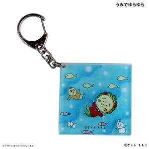 Key Ring
