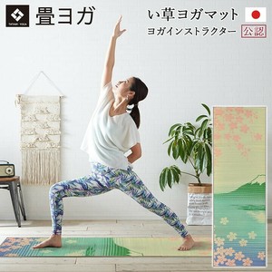 Rug Soft Rush Sakura 60 x 180cm