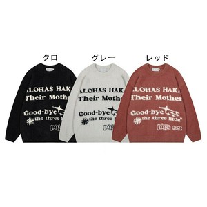 P19638 2024秋冬新作 長袖 トップス セーター カジュアル ラウンドネック ニット メンズ