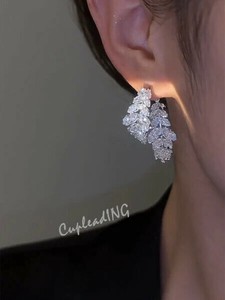 【2024春夏】INSスタイル ジルコン 純銀針 耳飾品 木の葉ピアス トレンド ピアス デザインセンス