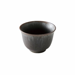 Japanese Teacup