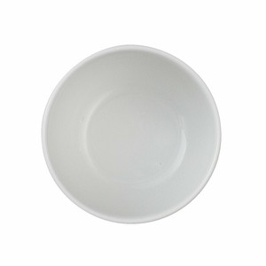 Donburi Bowl