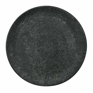 Main Plate Plate 29cm
