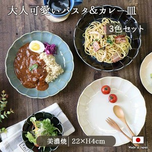 Rink Mino ware Main Plate Porcelain Dishwasher Safe 3-color sets 22cm Made in Japan