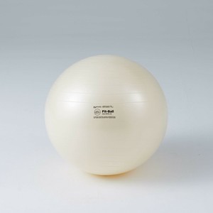 DANNO(ダンノ) フィットボール65 D5921