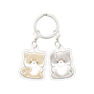 Key Ring
