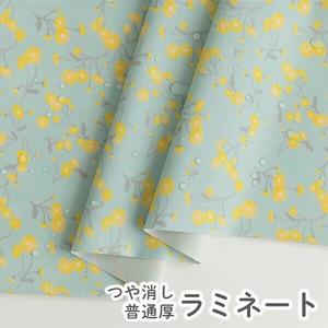 棉布