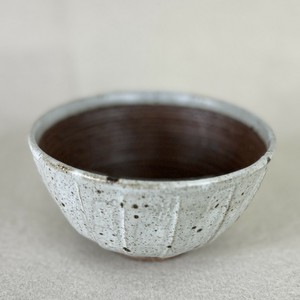 Rice Bowl