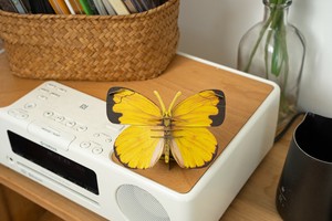 MAKEBUG 模型シリーズ キチョウ
