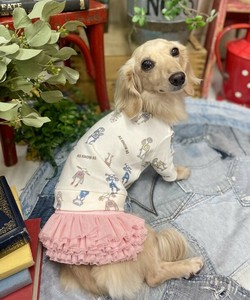 NカラフルASRロンT（犬服）