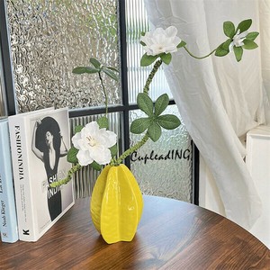 ≪予約商品≫INSスタイル 食卓の置物 装飾品 模造の花 北欧の置物 花瓶 果物の置物 楊桃の花瓶 水耕栽培器