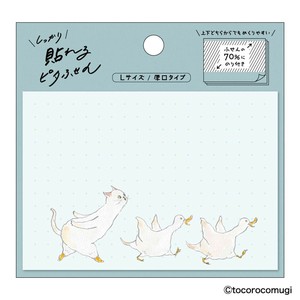 Sticky Notes Set of 30