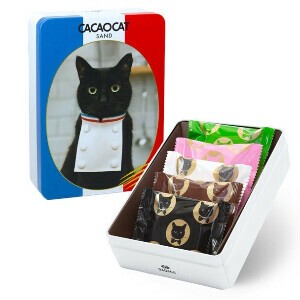 CACAOCAT SAND缶 ミックス 5個入り【ラングドシャチョコレート】