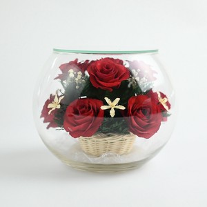 【お供え花】グラスフラワー ボトルフラワー ドライフラワー 仏花　ドーム型　バラ　赤
