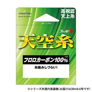 ヤマトヨテグス 天空糸フロロ 30m 0.6号
