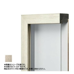 アルナ 樹脂フレーム 油額 ダブルフレーム ゴールド F8 61316