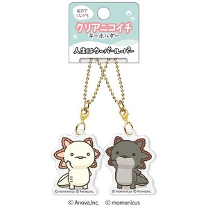 Key Ring Clear Nikoichi Key Chain