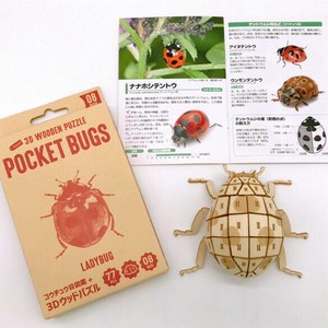 ポケットバグズ08　ナナホシテントウ／昆虫3Dウッドパズル（ミニ図鑑付）