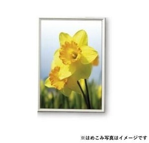 ARTE(アルテ)　シェイプ　画用紙四ッ切(392×544mm)　ホワイト　SH-G22-WH