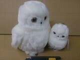 Animal/Fish Plushie/Doll White Owl Plushie