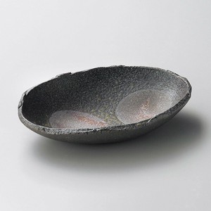 Shigaraki ware Main Dish Bowl Japanese Tableware Pottery Made in Japan