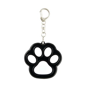 Key Ring
