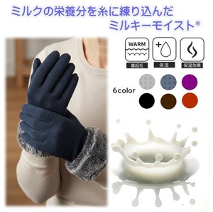 Gloves Ladies fashion Gloves [A/W]