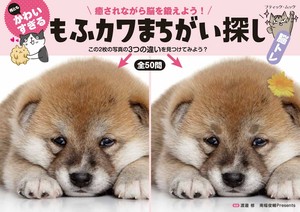 何ともかわいすぎる　もふカワまちがい探し