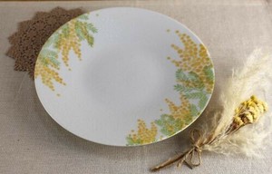 Main Plate Mimosa