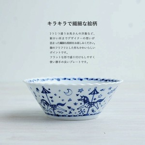 Hasami ware Donburi Bowl Party