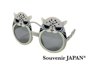 太阳眼镜