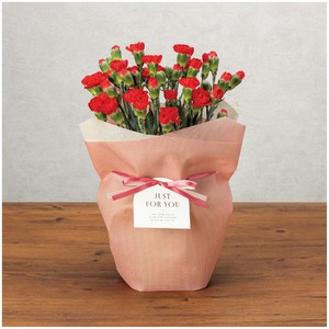 Wrapper 10-pcs