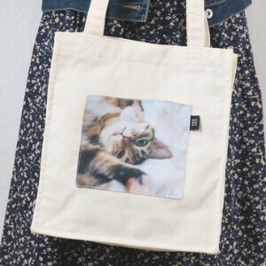 Bag Lightweight Cat Pocket