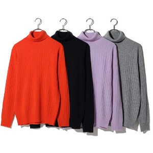 Sweater/Knitwear Turtle Neck