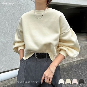 Sweatshirt Short Length