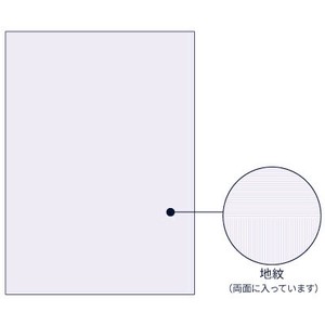 マルチプリンタ帳票 コピー偽造予防用紙 浮き文字タイプ A4両面