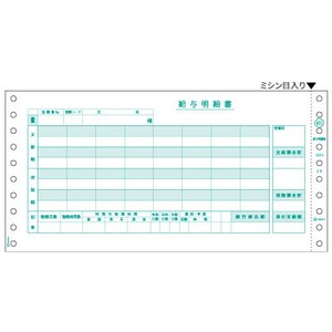 給与明細 2P