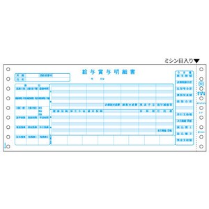 給与賞与明細書 2P