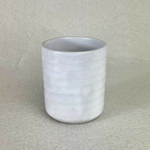 Japanese Teacup Rokube