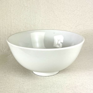 Donburi Bowl