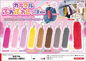 Key Ring Colorful