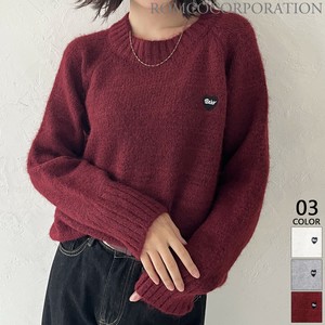 Sweater/Knitwear Knit Pullover [2024 NEW]