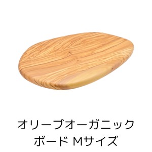 Main Plate