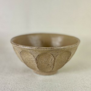 Donburi Bowl