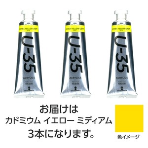 ターナー　U35　カドミウムイエローミディアム60ml　3個