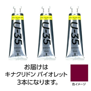 ターナー　U35　キナクリドンバイオレット60ml　3個